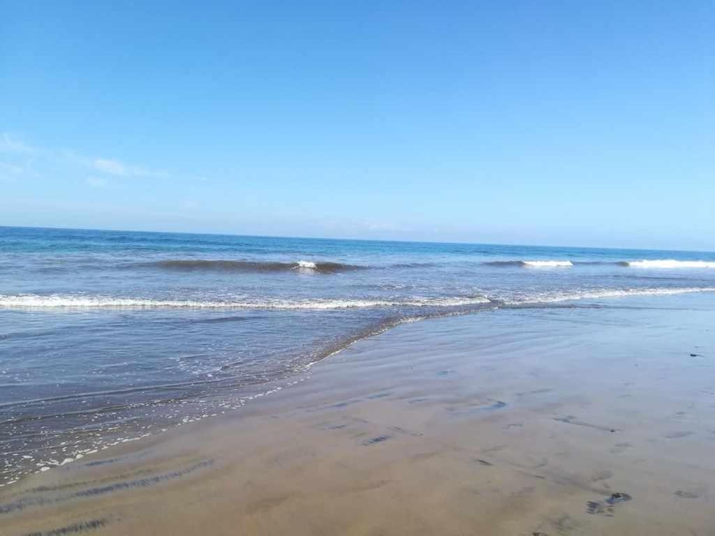 Relax Pasito Blanco Apartment Екстериор снимка